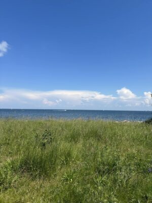 strandeng