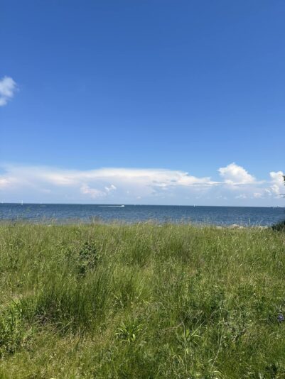 strandeng