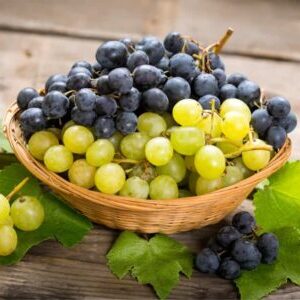 Group logo of Susses samtalekøkken. Hold 4